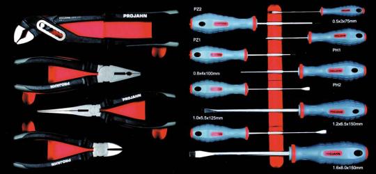 Schraubendreher und Zangen Einlage 13tlg zu 5902 