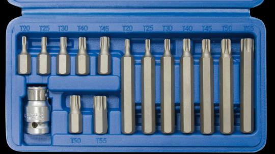 TORX-Garnitur 15 tlg. 1/2 Zoll, T 20 - T 55 